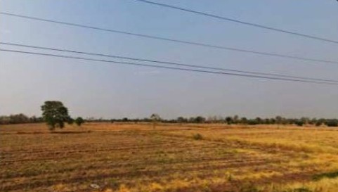 ขายทอดตลาด ที่ดินว่างเปล่า ต.ห้วยร่วม อ.ดงเจริญ จ.พิจิตร