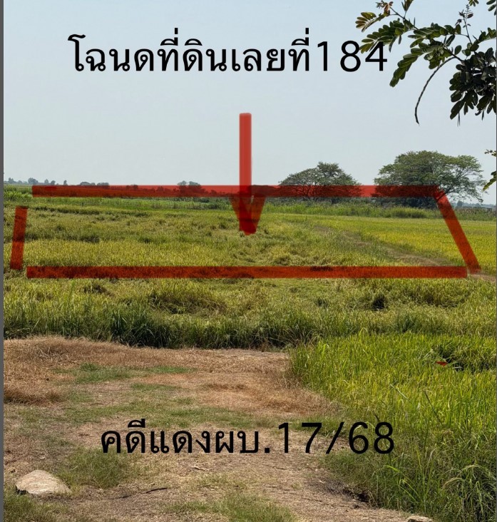 ขายทอดตลาด ที่ดินว่างเปล่า จ.พิจิตร