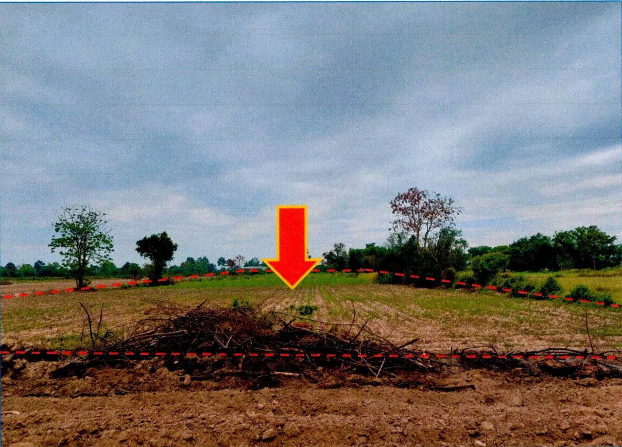 ขายทอดตลาด ที่ดินว่างเปล่า ต.บางระกำ อ.บางระกำ จ.พิษณุโลก