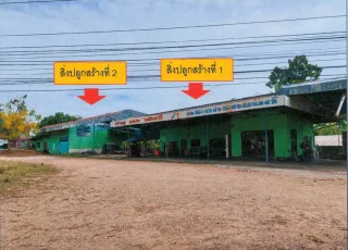 รูปทรัพย์ 2