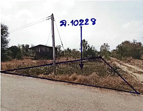 ขายทอดตลาด ที่ดินว่างเปล่า ต.หนองพระ อ.วังทรายพูน จ.พิจิตร