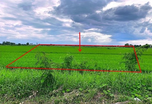 ขายทอดตลาด ที่ดินว่างเปล่า ต.บางลาย อ.บึงนาราง จ.พิจิตร