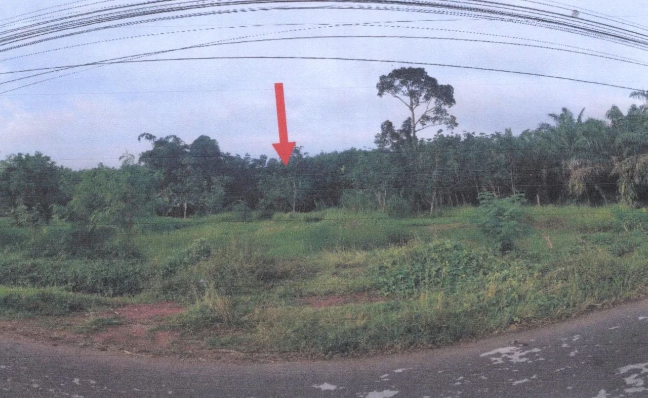 ขายทอดตลาด ที่ดินว่างเปล่า ต.ท่ามิหรำ อ.เมืองพัทลุง จ.พัทลุง