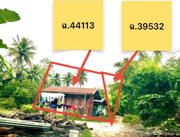 ขายทอดตลาด ที่ดินพร้อมสิ่งปลูกสร้าง ต.ทะนง อ.โพทะเล จ.พิจิตร
