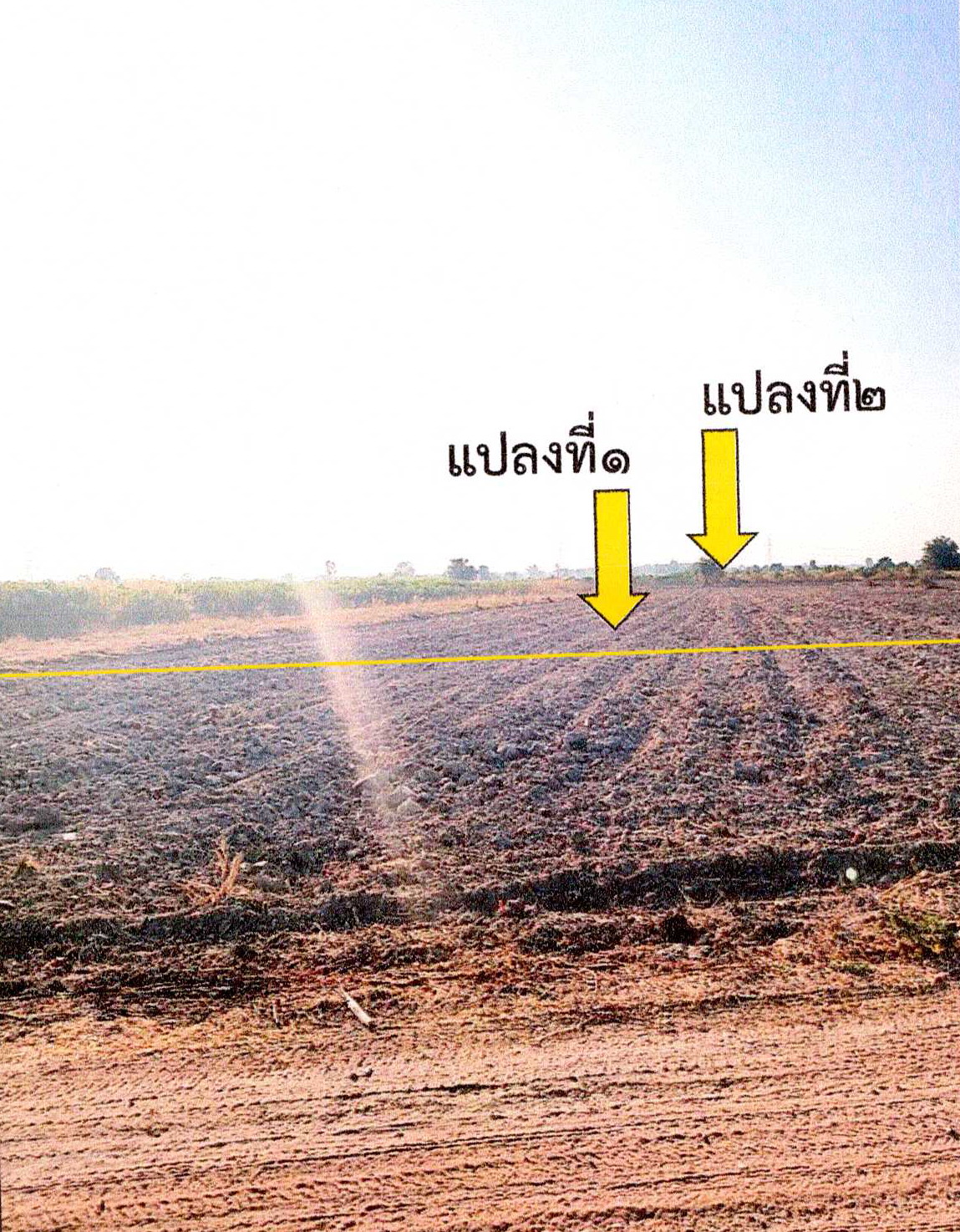 ขายทอดตลาด ที่ดินว่างเปล่า ต.ทับยายเชียง อ.พรหมพิราม จ.พิษณุโลก