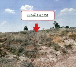 รูปทรัพย์ 1