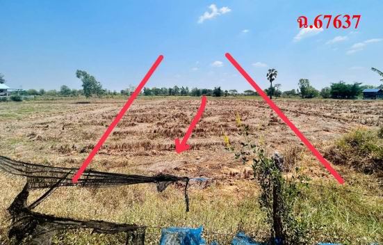 ขายทอดตลาด ที่ดินว่างเปล่า ต.ขามเฒ่าพัฒนา อ.กันทรวิชัย จ.มหาสารคาม