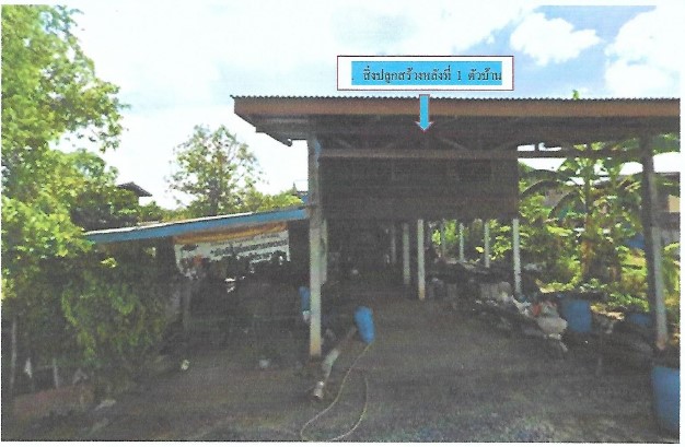 ขายทอดตลาด ที่ดินพร้อมสิ่งปลูกสร้าง ต.เนินมะกอก อ.บางมูลนาก จ.พิจิตร