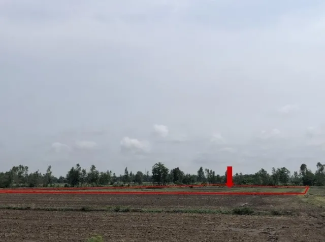 ขายทอดตลาด ที่ดินว่างเปล่า ต.ห้วยพุก อ.กิ่งอำเภอดงเจริญ จ.พิจิตร