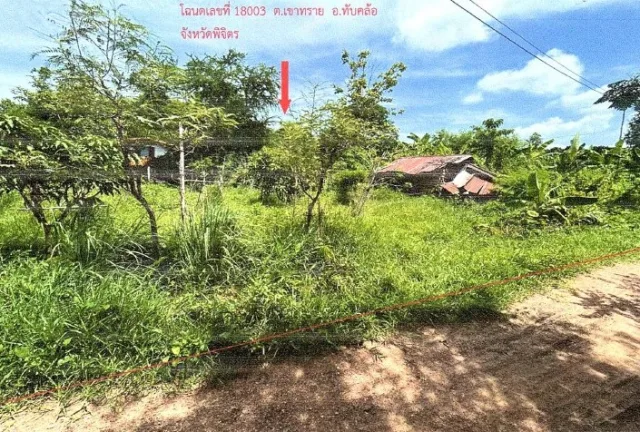 ขายทอดตลาด ที่ดินว่างเปล่า ต.เขาทราย อ.ทับคล้อ จ.พิจิตร