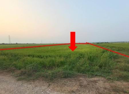 ขายทอดตลาด ที่ดินว่างเปล่า ต.ศรีภิรมย์ อ.พรหมพิราม จ.พิษณุโลก