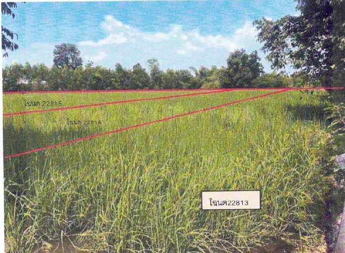 ขายทอดตลาด ที่ดินว่างเปล่า จ.พิจิตร