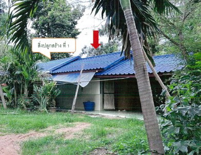 ขายทอดตลาด ที่ดินพร้อมสิ่งปลูกสร้าง ต.คลองขาม อ.ยางตลาด จ.กาฬสินธุ์