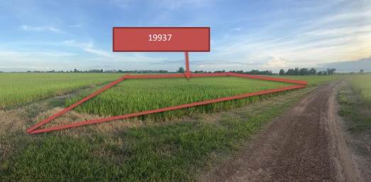 ขายทอดตลาด ที่ดินว่างเปล่า ต.ท่านางงาม อ.บางระกำ จ.พิษณุโลก