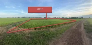 รูปทรัพย์ 1