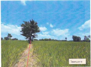 รูปทรัพย์ 4