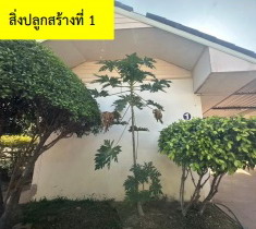 ขายทอดตลาด ที่ดินพร้อมสิ่งปลูกสร้าง ต.ลำหนองแสน อ.หนองกุงศรี จ.กาฬสินธุ์
