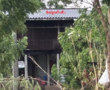 ขายทอดตลาด ที่ดินพร้อมสิ่งปลูกสร้าง ต.วังสำโรง อ.บางมูลนาก จ.พิจิตร