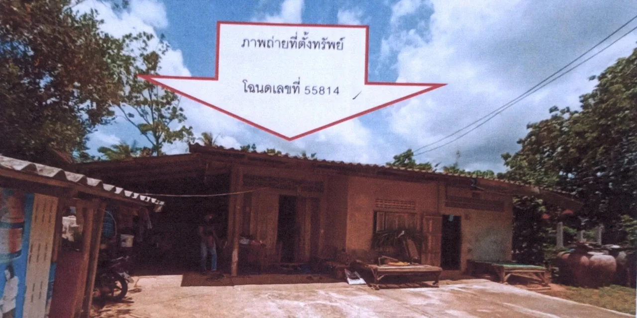 ขายทอดตลาด ที่ดินพร้อมสิ่งปลูกสร้าง ต.ชะมวง อ.ควนขนุน จ.พัทลุง