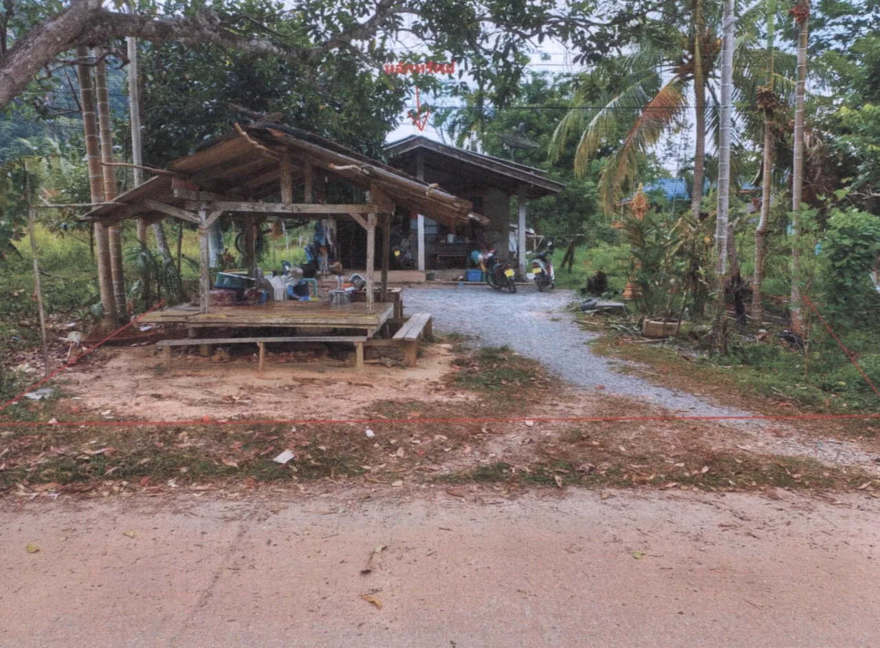 ขายทอดตลาด ที่ดินพร้อมสิ่งปลูกสร้าง ต.เขาปู่ อ.ศรีบรรพต จ.พัทลุง