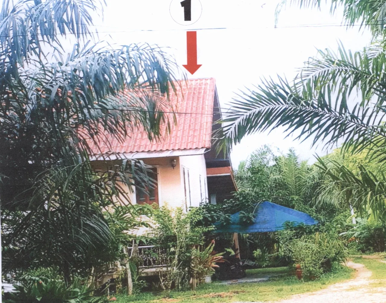 ขายทอดตลาด ที่ดินพร้อมสิ่งปลูกสร้าง ต.แหลมโตนด อ.ควนขนุน จ.พัทลุง