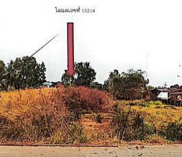 ขายทอดตลาด ที่ดินว่างเปล่า ต.รังนก อ.สามง่าม จ.พิจิตร