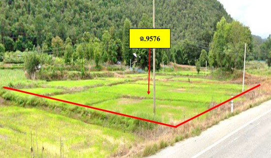 ขายทอดตลาด ที่ดินว่างเปล่า จ.พิษณุโลก