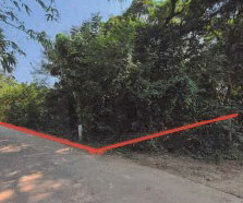 ขายทอดตลาด ที่ดินว่างเปล่า ต.หนองปลาไหล อ.วังทรายพูน จ.พิจิตร