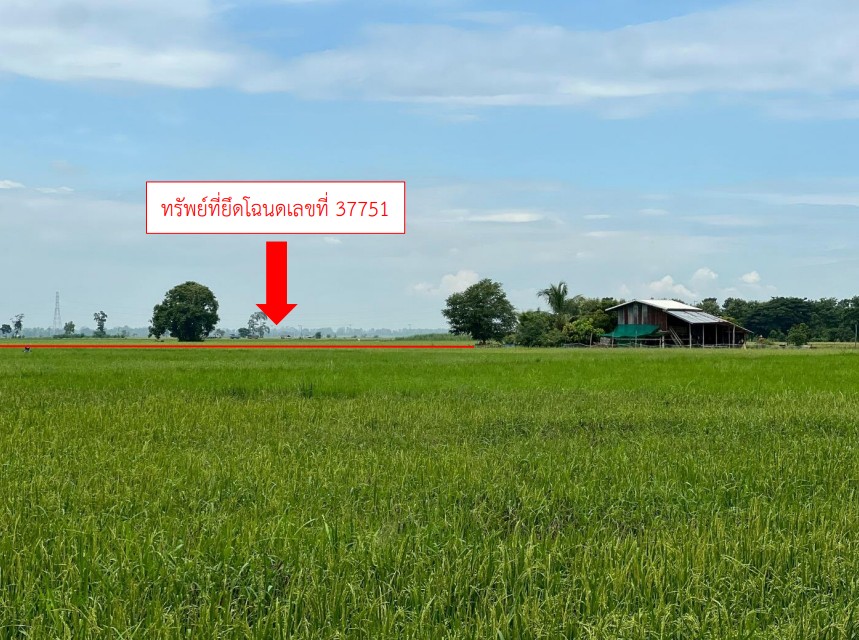 ขายทอดตลาด ที่ดินว่างเปล่า จ.พิษณุโลก