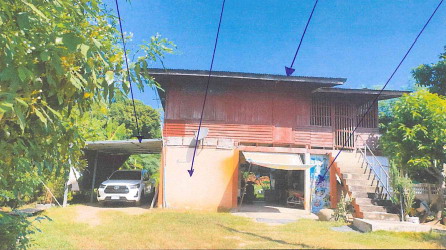 ขายทอดตลาด ที่ดินพร้อมสิ่งปลูกสร้าง ต.บางระกำ อ.บางระกำ จ.พิษณุโลก