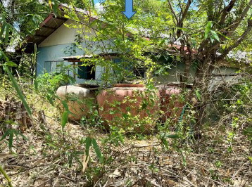 ขายทอดตลาด ที่ดินพร้อมสิ่งปลูกสร้าง ต.หนองปล้อง อ.วังทรายพูน จ.พิจิตร