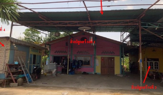 ขายทอดตลาด ที่ดินพร้อมสิ่งปลูกสร้าง ต.เมืองเก่า อ.เมืองพิจิตร จ.พิจิตร