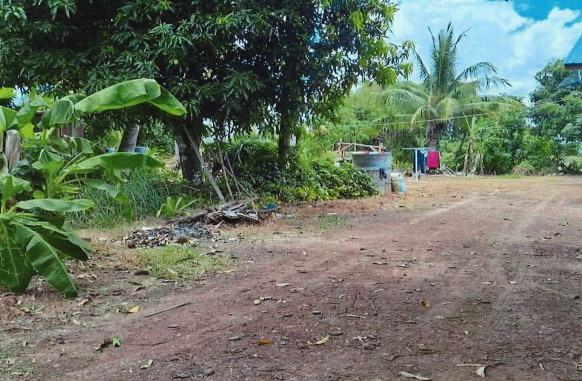 ขายทอดตลาด ที่ดินว่างเปล่า ต.ทับคล้อ อ.ทับคล้อ จ.พิจิตร