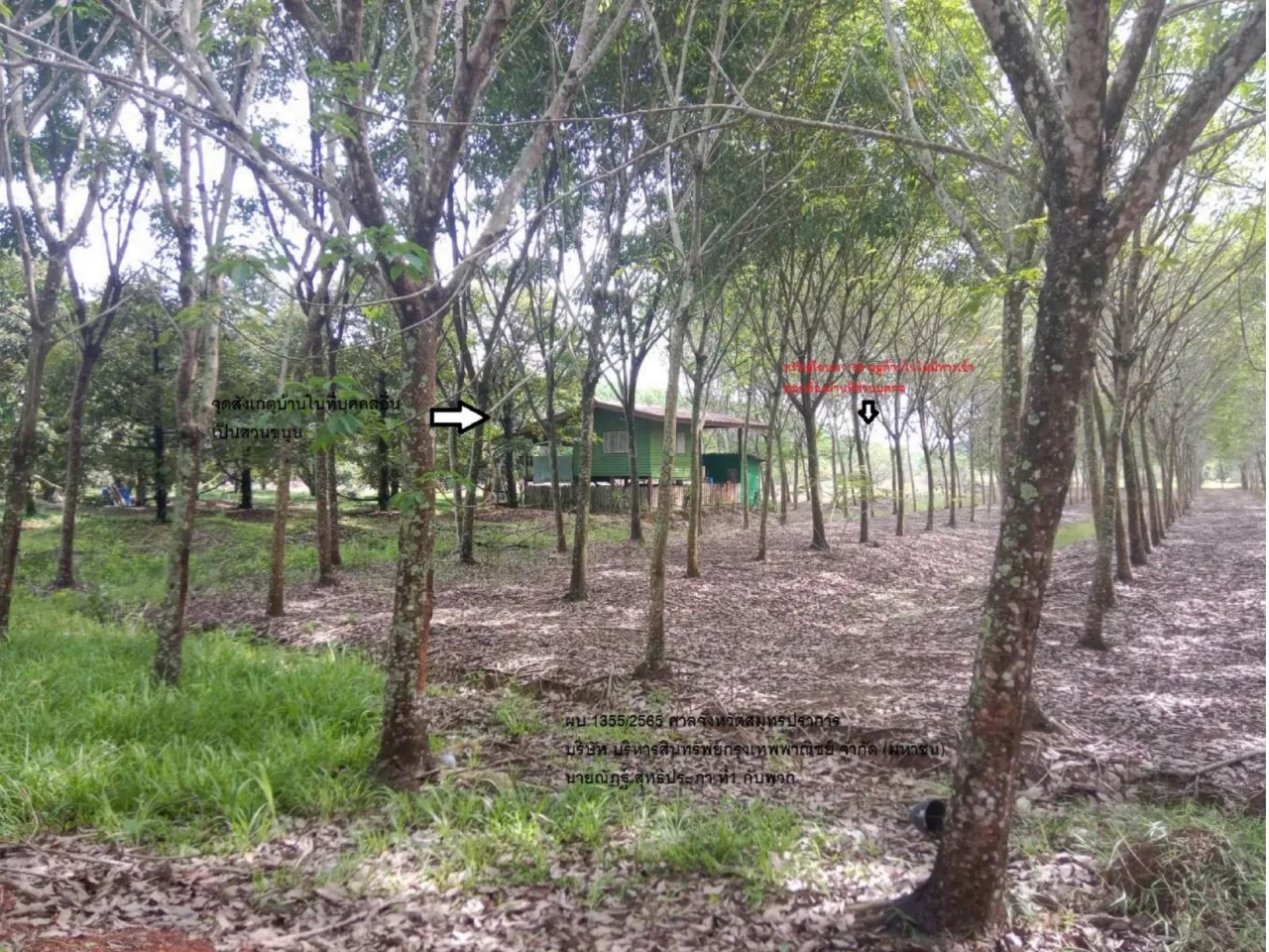 ขายทอดตลาด ที่ดินว่างเปล่า ต.สนามไชย อ.นายายอาม จ.จันทบุรี