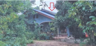 รูปทรัพย์ 2