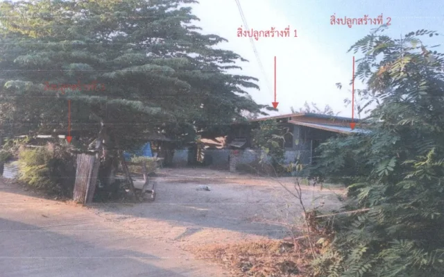 ขายทอดตลาด ที่ดินพร้อมสิ่งปลูกสร้าง ต.สายคำโห้ อ.เมืองพิจิตร จ.พิจิตร