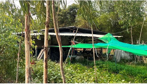 ขายทอดตลาด ที่ดินพร้อมสิ่งปลูกสร้าง ต.เมืองเสือ อ.พยัคฆภูมิพิสัย จ.มหาสารคาม