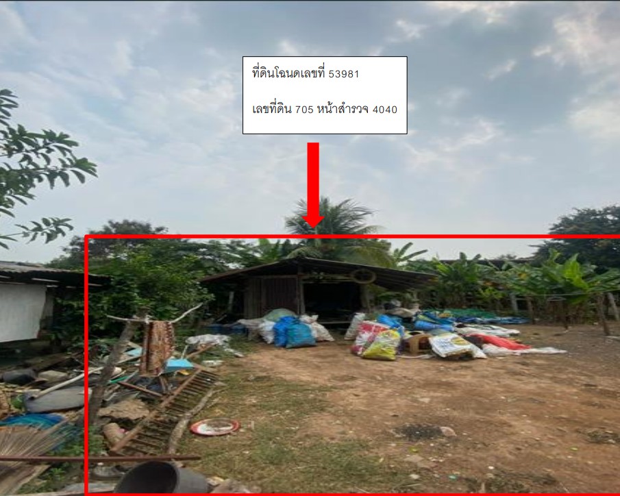 ขายทอดตลาด ที่ดินพร้อมสิ่งปลูกสร้าง ต.มะต้อง อ.พรหมพิราม จ.พิษณุโลก
