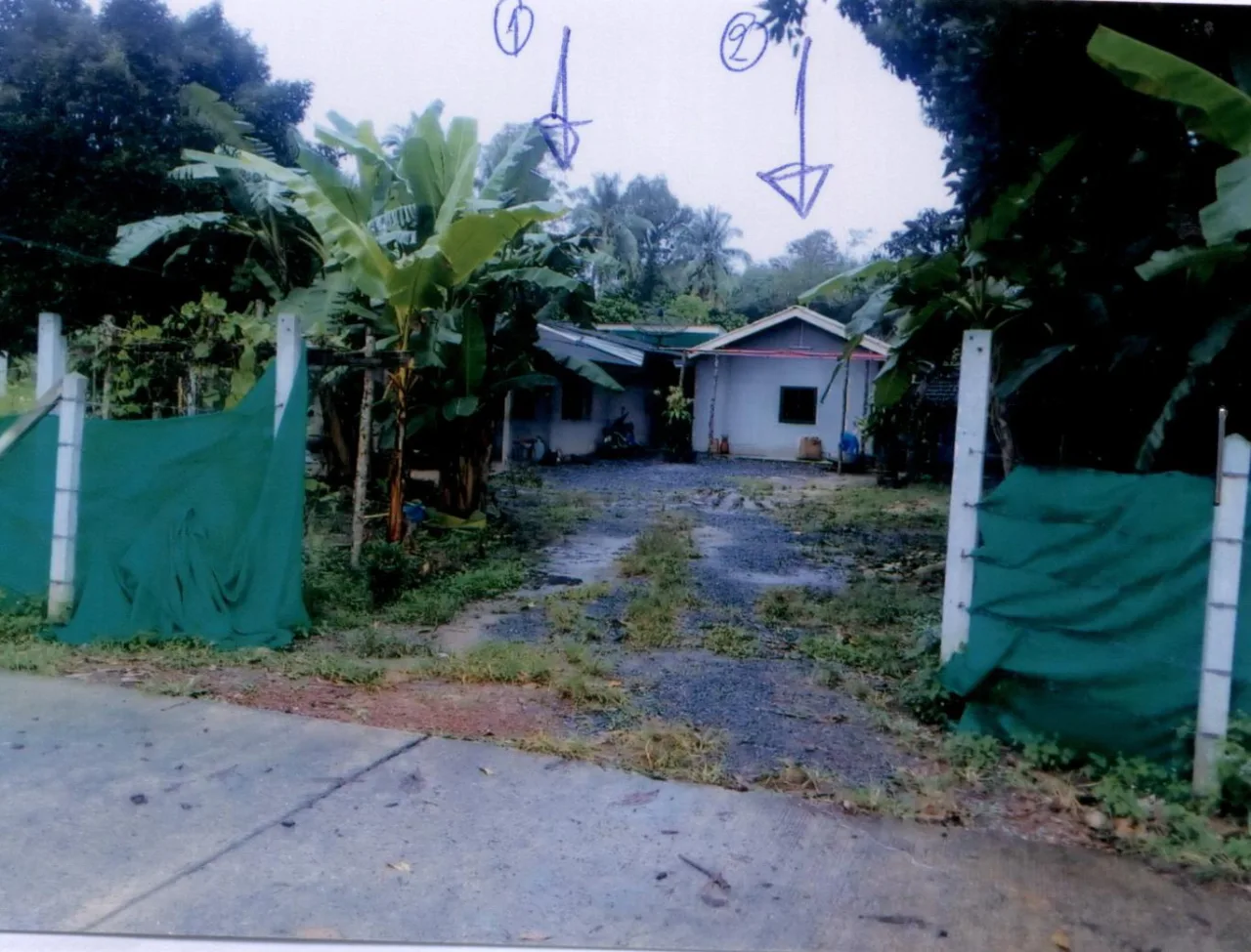 ขายทอดตลาด ที่ดินพร้อมสิ่งปลูกสร้าง ต.ป่าบอน อ.ป่าบอน จ.พัทลุง