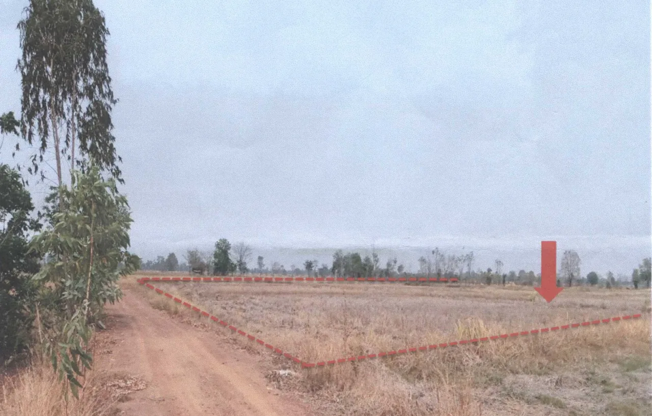 ขายทอดตลาด ที่ดินว่างเปล่า ต.หนองพระ อ.วังทรายพูน จ.พิจิตร