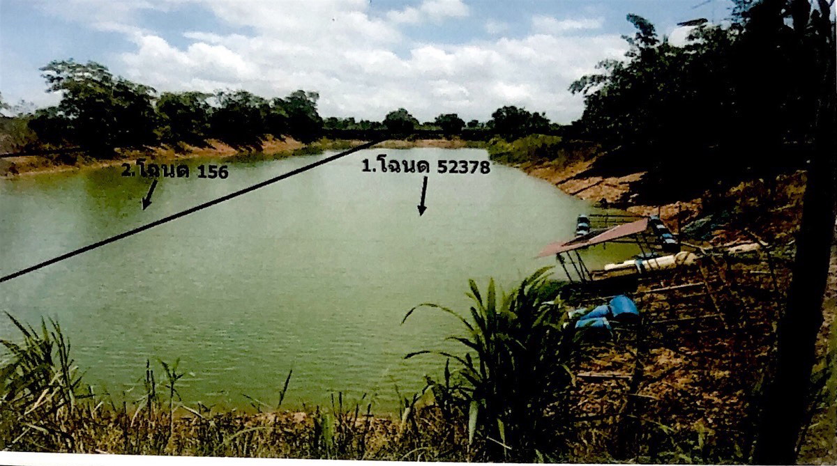 ขายทอดตลาด ที่ดินว่างเปล่า ต.ท่าช้าง อ.พรหมพิราม จ.พิษณุโลก