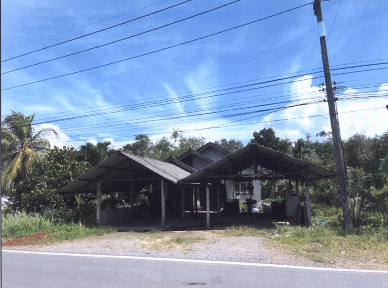 ขายทอดตลาด ที่ดินพร้อมสิ่งปลูกสร้าง ต.โคกทราย อ.ป่าบอน จ.พัทลุง