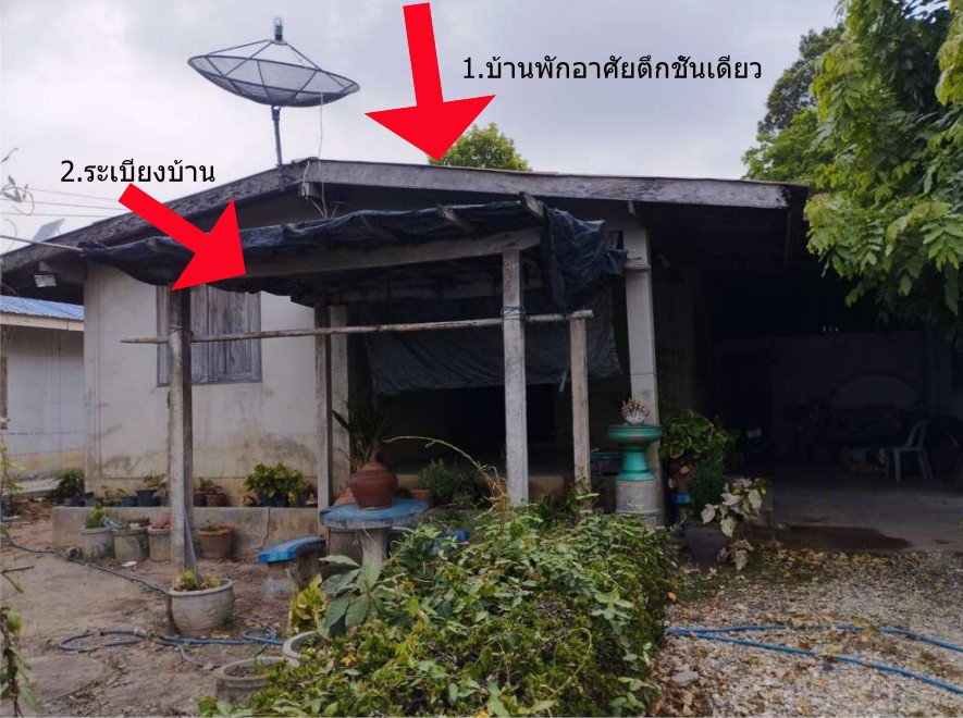 ขายทอดตลาด ที่ดินพร้อมสิ่งปลูกสร้าง ต.ปลักแรด อ.บางระกำ จ.พิษณุโลก