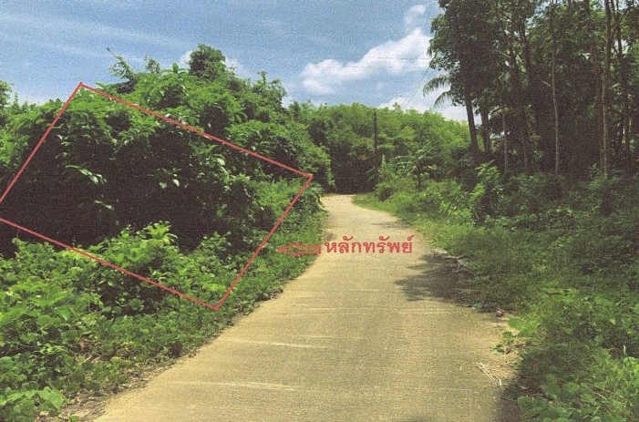 ขายทอดตลาด ที่ดินว่างเปล่า จ.กำแพงเพชร