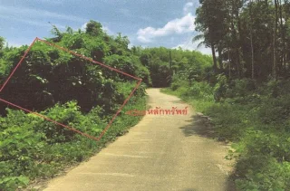 รูปทรัพย์ 1