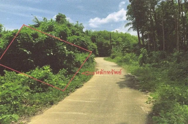 ขายทอดตลาด ที่ดินว่างเปล่า จ.กำแพงเพชร
