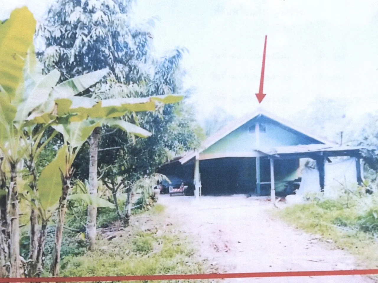 ขายทอดตลาด ที่ดินพร้อมสิ่งปลูกสร้าง ต.โคกทราย อ.ป่าบอน จ.พัทลุง