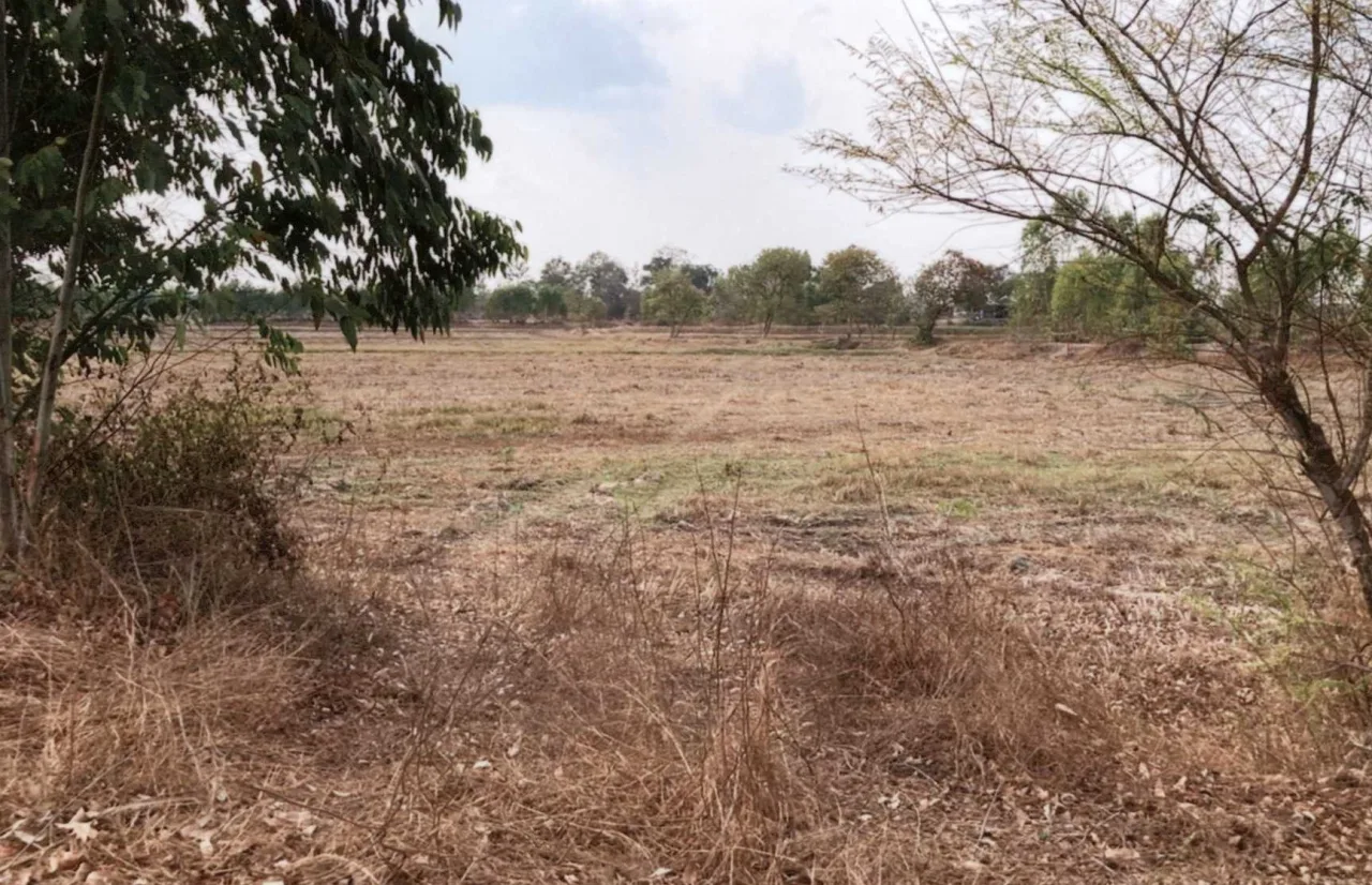 ขายทอดตลาด ที่ดินว่างเปล่า ต.หนองแสง อ.วาปีปทุม จ.มหาสารคาม