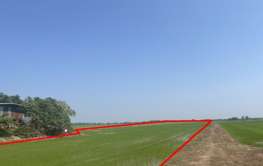 ขายทอดตลาด ที่ดินว่างเปล่า ต.ท่านางงาม อ.บางระกำ จ.พิษณุโลก