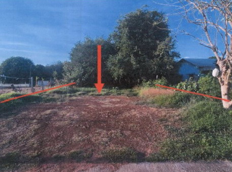ขายทอดตลาด ที่ดินว่างเปล่า ต.เขาทราย อ.ทับคล้อ จ.พิจิตร
